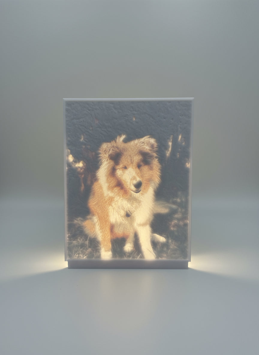 Dein Bild als farbige Lithophane – Erinnerungen im besten Licht