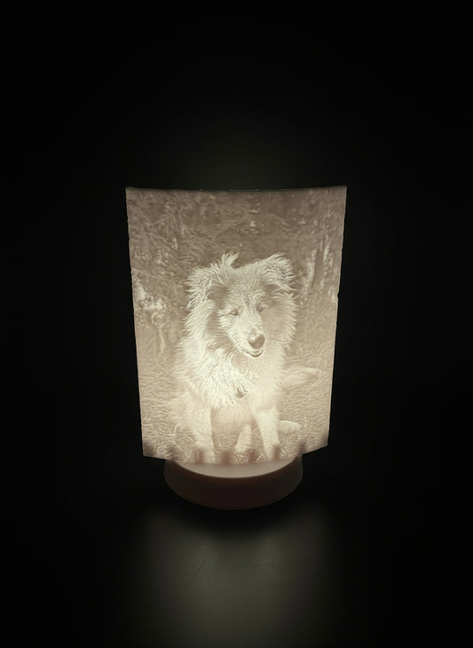 Lithophsne weiiß mit Licht